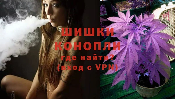 МДПВ Горно-Алтайск