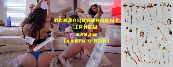 МДПВ Горно-Алтайск