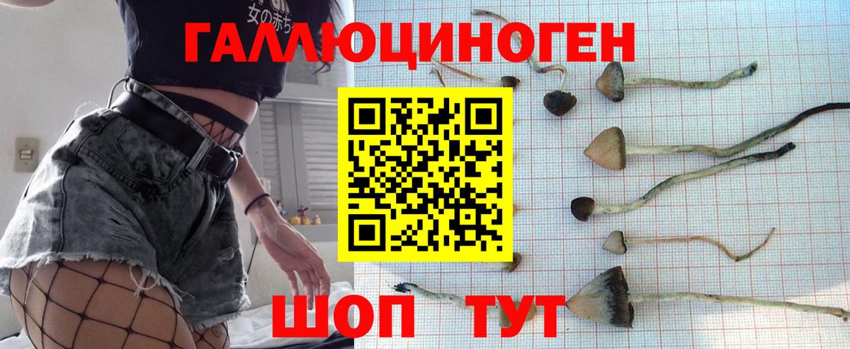 Псилоцибиновые грибы Magic Shrooms  где продают   Вход с VPN  Гусь-Хрустальный  Псилоцибиновые грибы прущие грибы 