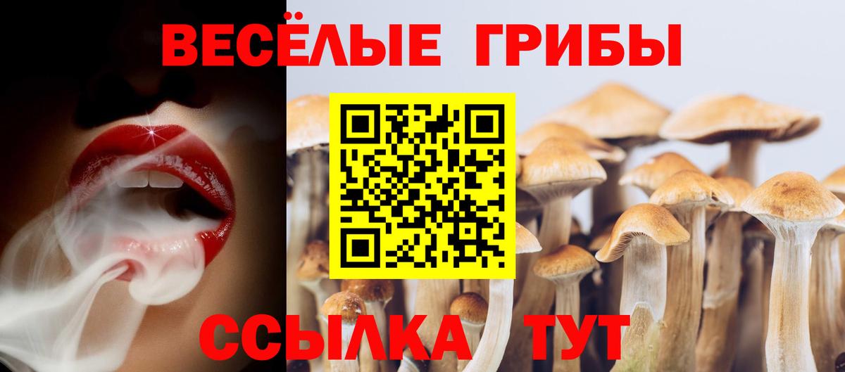 Галлюциногенные грибы MAGIC MUSHROOMS Гусь-Хрустальный
