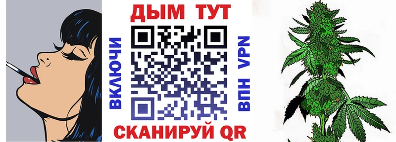 МАРИХУАНА сатива Гусь-Хрустальный